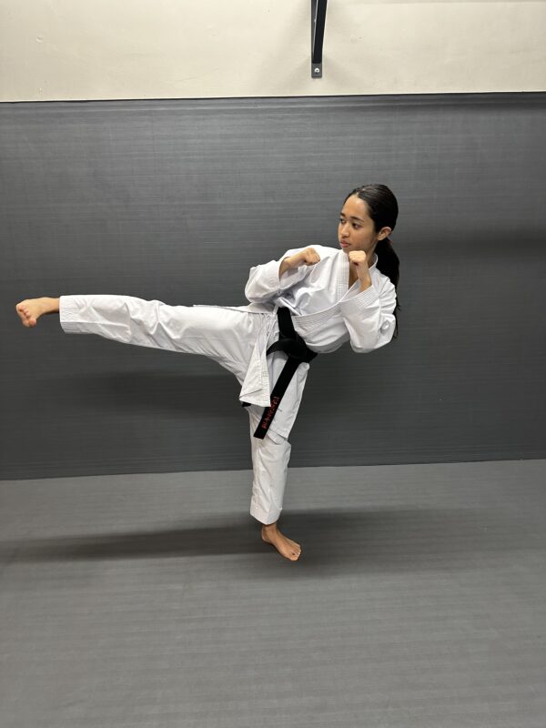 karate belt system