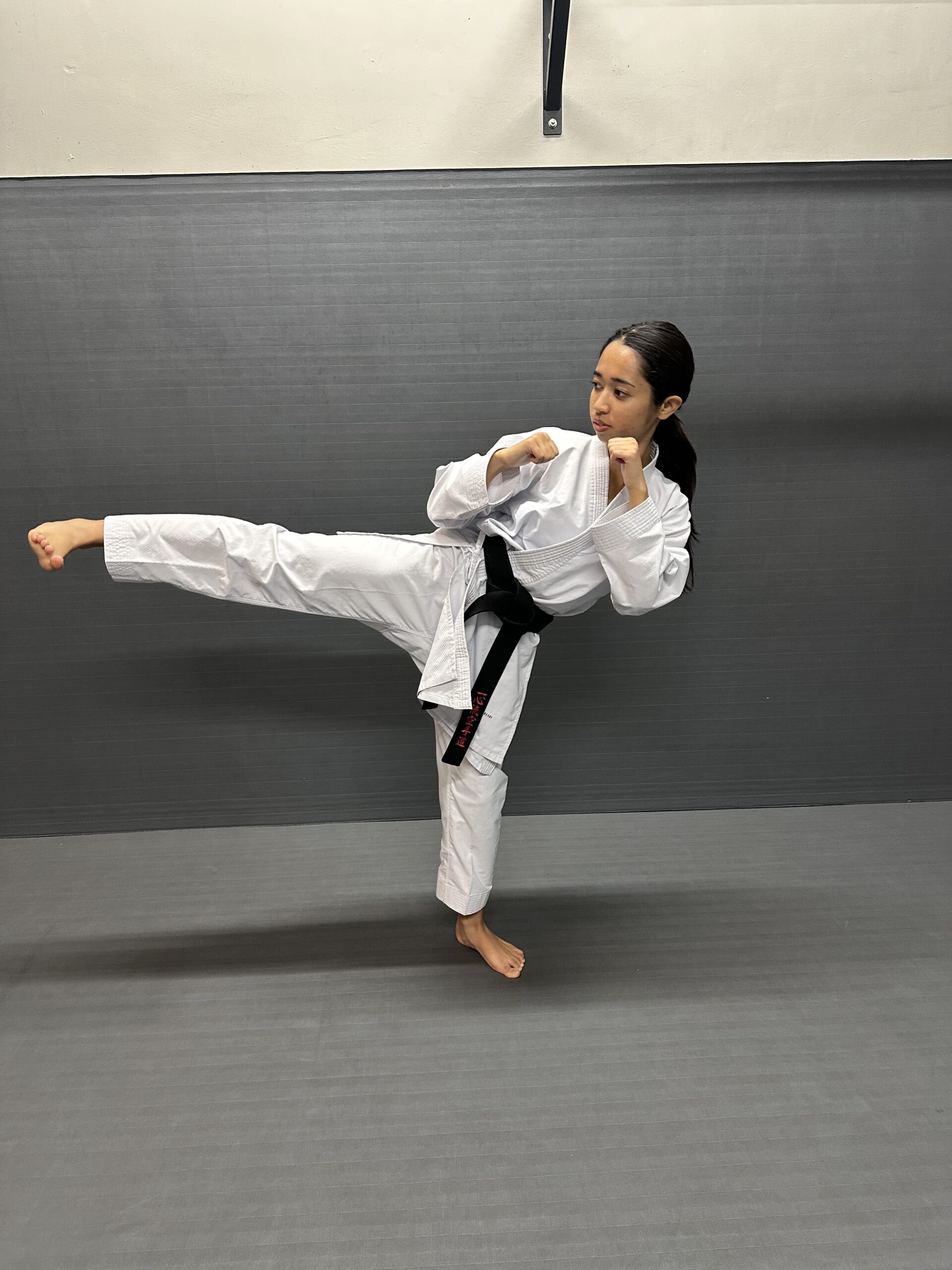 karate belt system