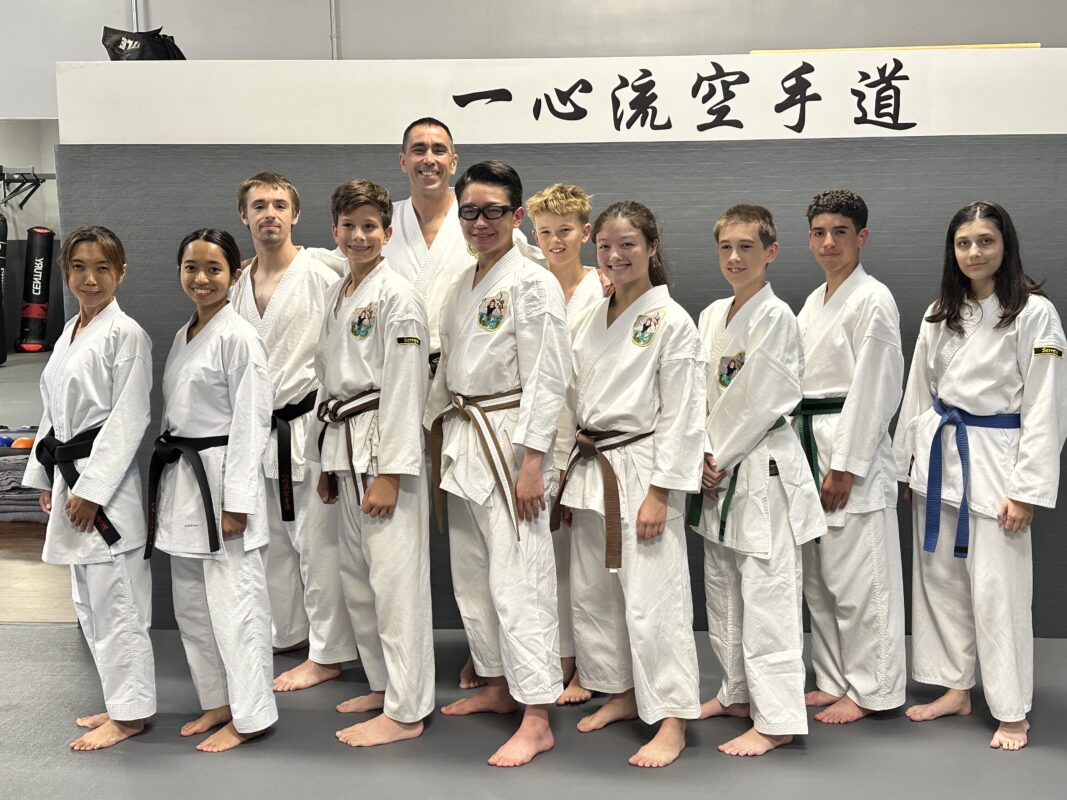 practical karate belt system