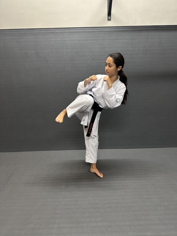 the black belt process