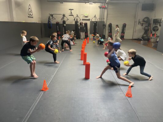 Distributed Practice