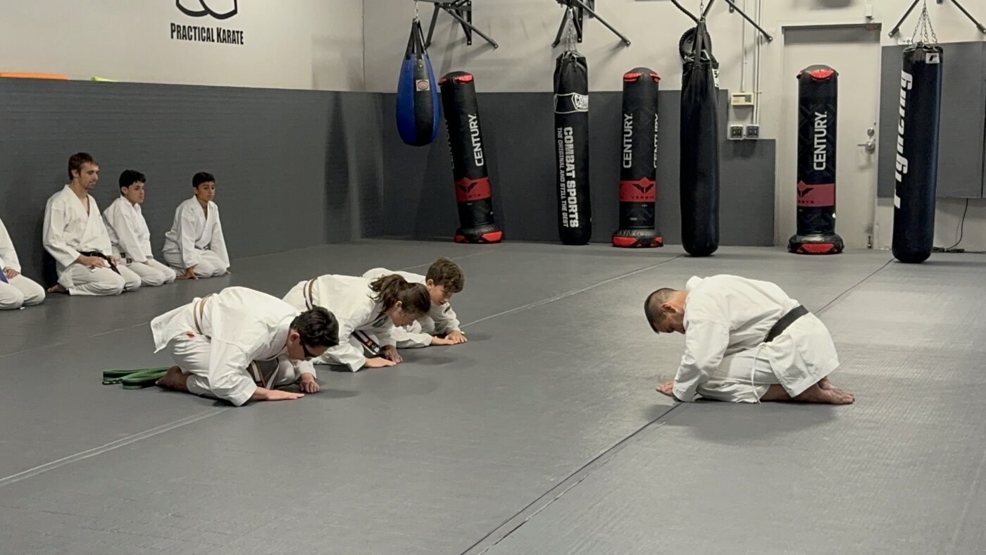 Martial Arts Skill